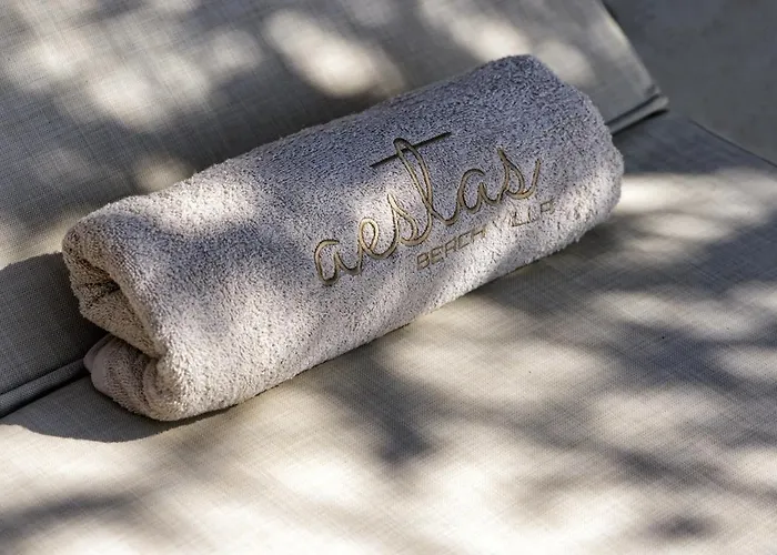 Aestas * 佩科霍里