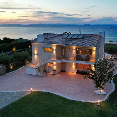 Aestas פפקוהורי