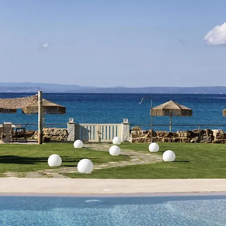 Aestas פפקוהורי