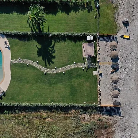 Aestas פפקוהורי